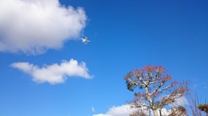 DSC_1396　ドローン40ｍ　20151217